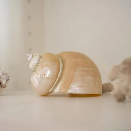 à - Résidence Avec Piscine Apartamento